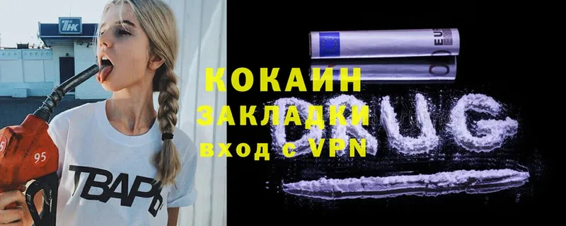 COCAIN Fish Scale  продажа наркотиков  Сыктывкар 