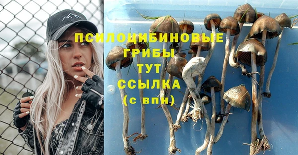 мяу мяу мука Майский