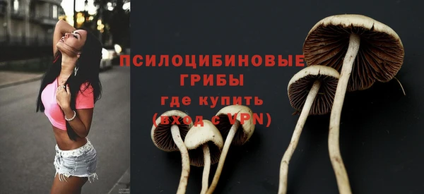 мдма Медвежьегорск