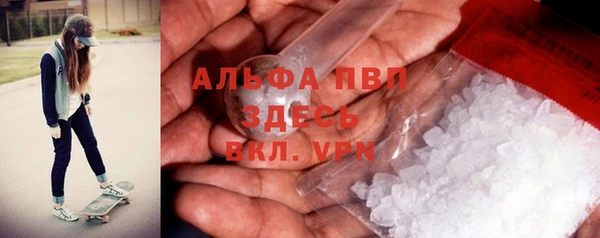 гидра Магас