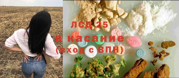 гидра Магас
