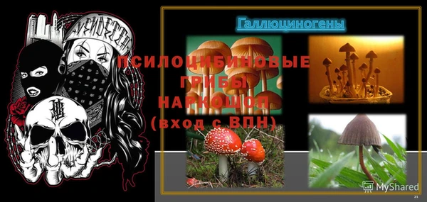 мяу мяу мука Майский