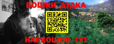 Альфа ПВП Гатчина