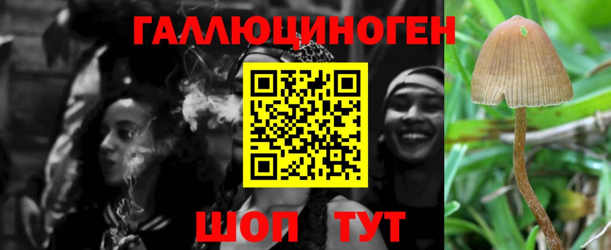 Псилоцибиновые грибы мицелий  Сыктывкар  Галлюциногенные грибы MAGIC MUSHROOMS 